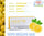 Heets Yellow Selection - Vape Escape UAE