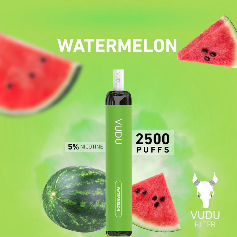 Vudu Filter 2500 Puffs Disposable Vape - Vape Escape UAE
