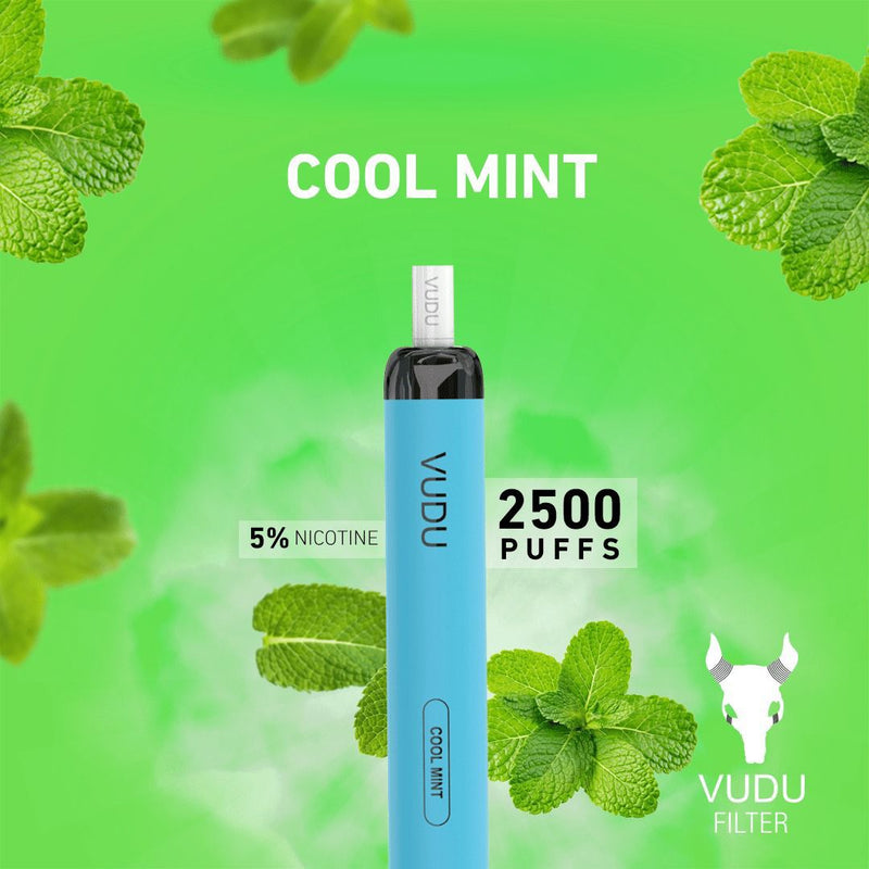 Vudu Filter 2500 Puffs Disposable Vape - Vape Escape UAE