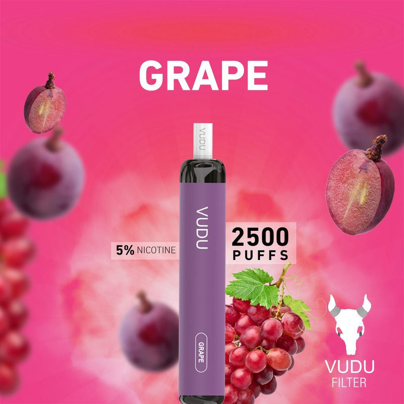 Vudu Filter 2500 Puffs Disposable Vape - Vape Escape UAE