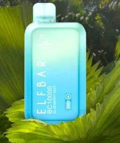 ELFBAR BC10000 2% Nicotine PUFFS BEST DISPOSABLE VAPE IN DUBAI. - Vape Escape UAE