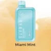 ELFBAR BC10000 2% Nicotine PUFFS BEST DISPOSABLE VAPE IN DUBAI. - Vape Escape UAE