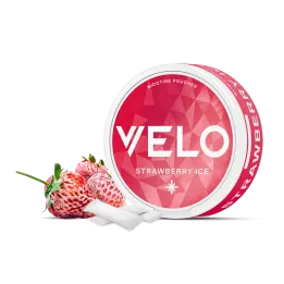 VELO Nicotine Pouches in Dubai: The Premium, Tobacco-Free Nicotine Alternative for UAE Vapers