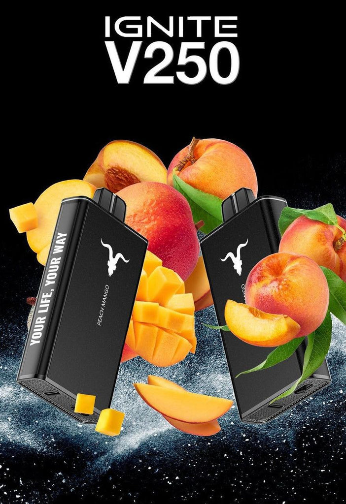Ignite V250 25 000 Puffs Disposable Vape – 5% Nic, Rechargeable, Dubai, UAE