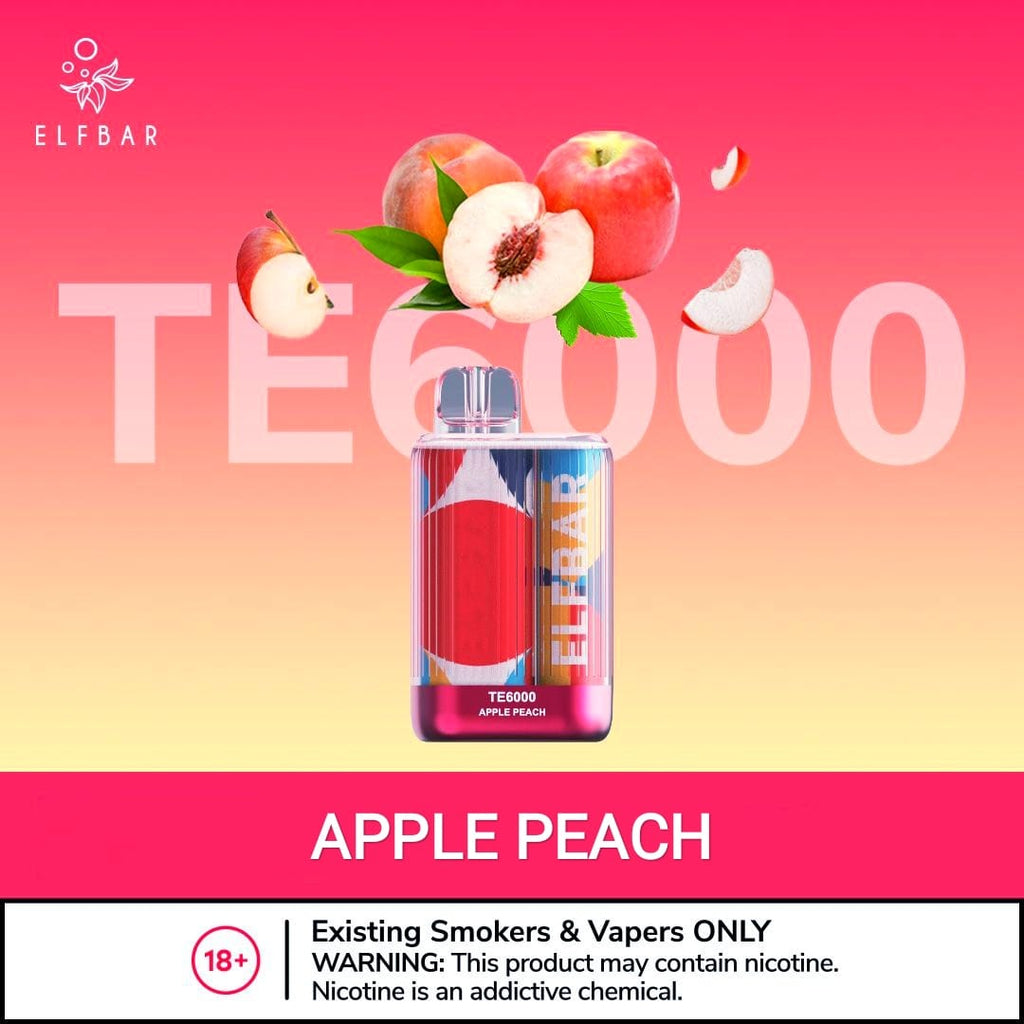 Elfbar TE 6000 Puffs Disposable Vape best price in dubai