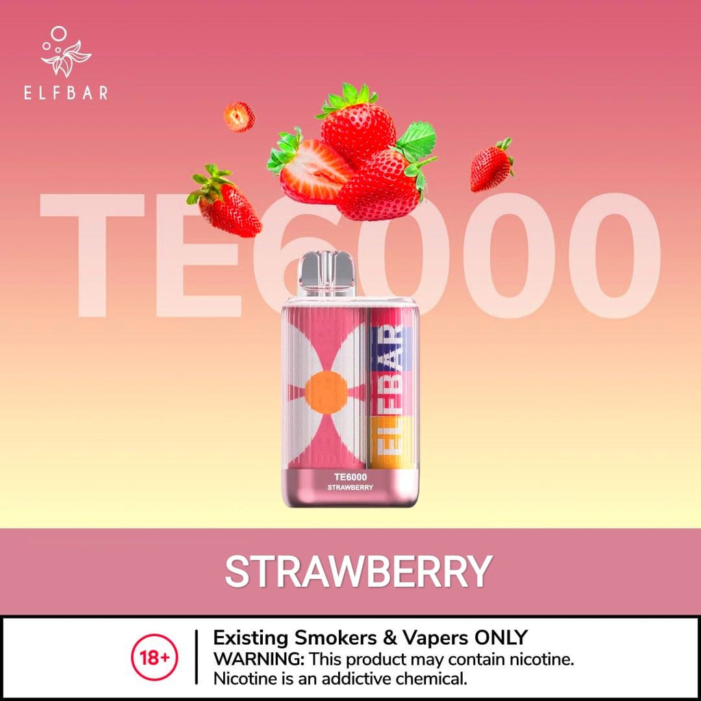 Elfbar TE 6000 Puffs Disposable Vape best price in dubai