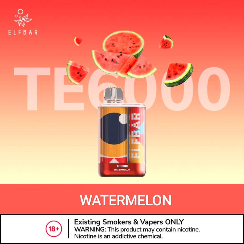 Elfbar TE 6000 Puffs Disposable Vape best price in dubai - Vape Escape UAE