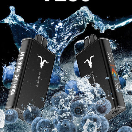 Ignite V250 25 000 Puffs Disposable Vape – 5% Nic, Rechargeable, Dubai, UAE