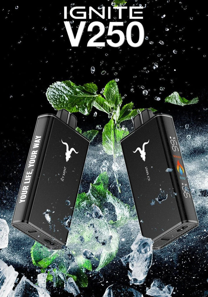 Ignite V250 25 000 Puffs Disposable Vape – 5% Nic, Rechargeable, Dubai, UAE