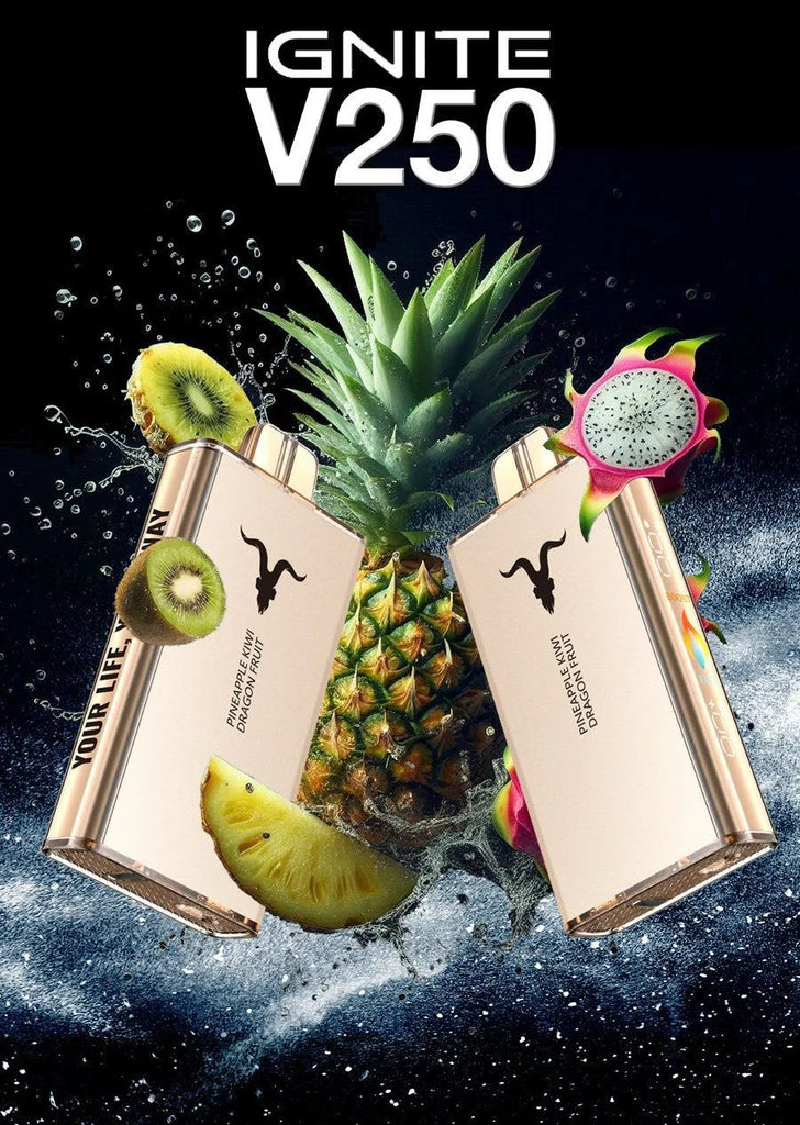Ignite V250 25 000 Puffs Disposable Vape – 5% Nic, Rechargeable, Dubai, UAE