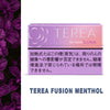 TEREA FUSION MENTHOL HEETS