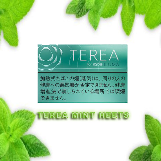 TEREA MINT HEETS - Vape Escape UAE