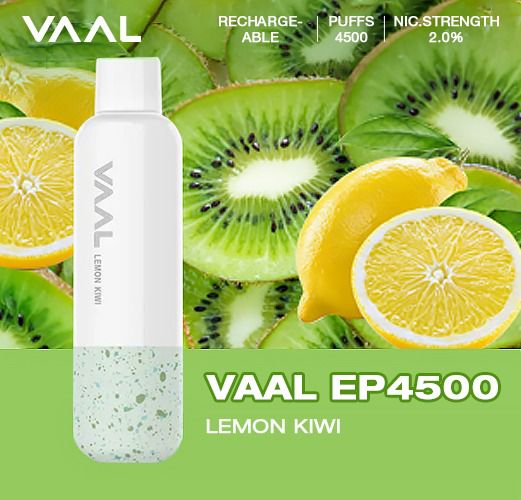 VAAL Rechargeable Disposable 4500 Puffs Rechargeable. - Vape Escape UAE