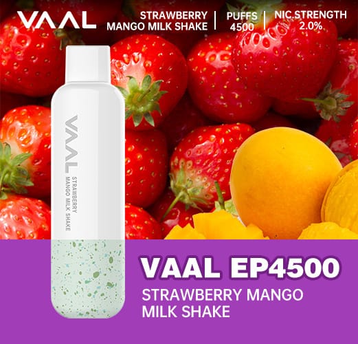 VAAL Rechargeable Disposable 4500 Puffs Rechargeable. - Vape Escape UAE