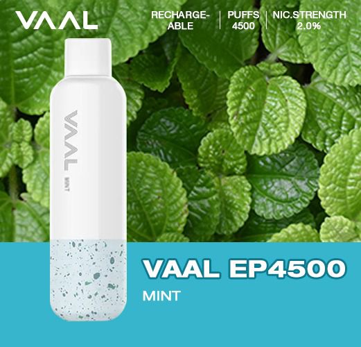 VAAL Rechargeable Disposable 4500 Puffs Rechargeable.