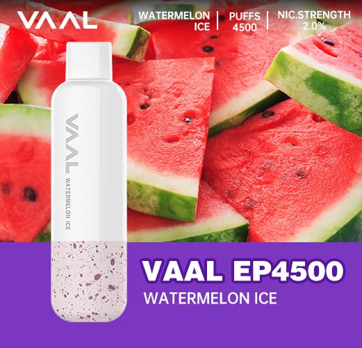VAAL Rechargeable Disposable 4500 Puffs Rechargeable. - Vape Escape UAE