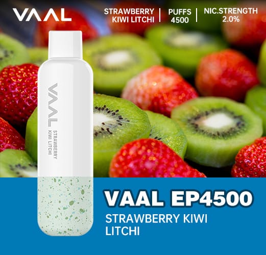 VAAL Rechargeable Disposable 4500 Puffs Rechargeable. - Vape Escape UAE